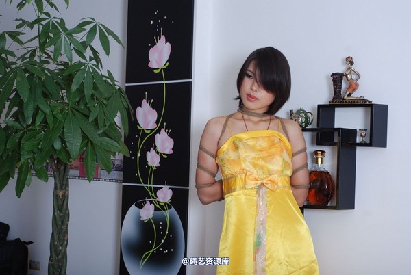唯美之家 - 书兰-黄礼服 第 109 张图片