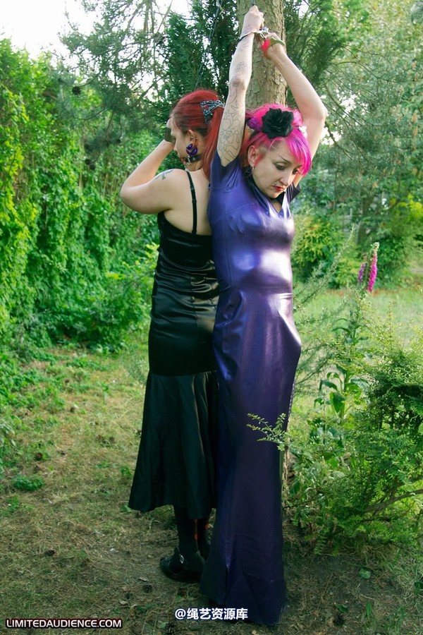 limitedaudience - 2011 beckykat loltaru chained tree seesaw 2 第 22 张图片
