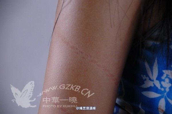 中华一晓 - 中华一晓 NO.0362 第 275 张图片