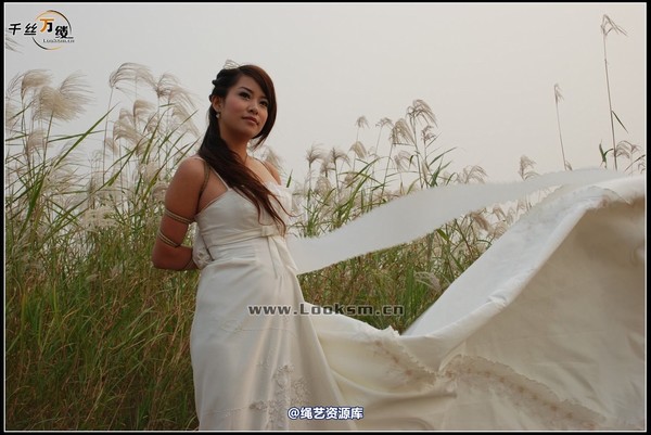 千丝万缕 - 2007-10-11日照片 第 41 张图片