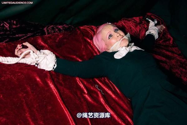 limitedaudience - 2009 assisted suicide internet date 第 2 张图片