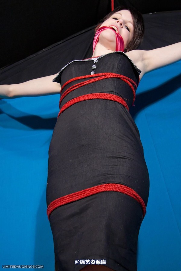 limitedaudience - 2011 luisa tied to the wall 2 第 12 张图片