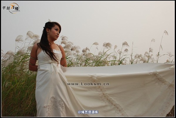 千丝万缕 - 2007-10-11日照片 第 39 张图片