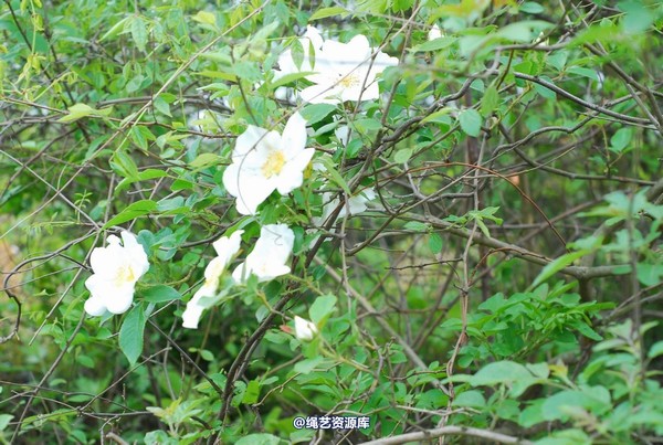 唯美之家 - 外拍军装三模特 第 24 张图片
