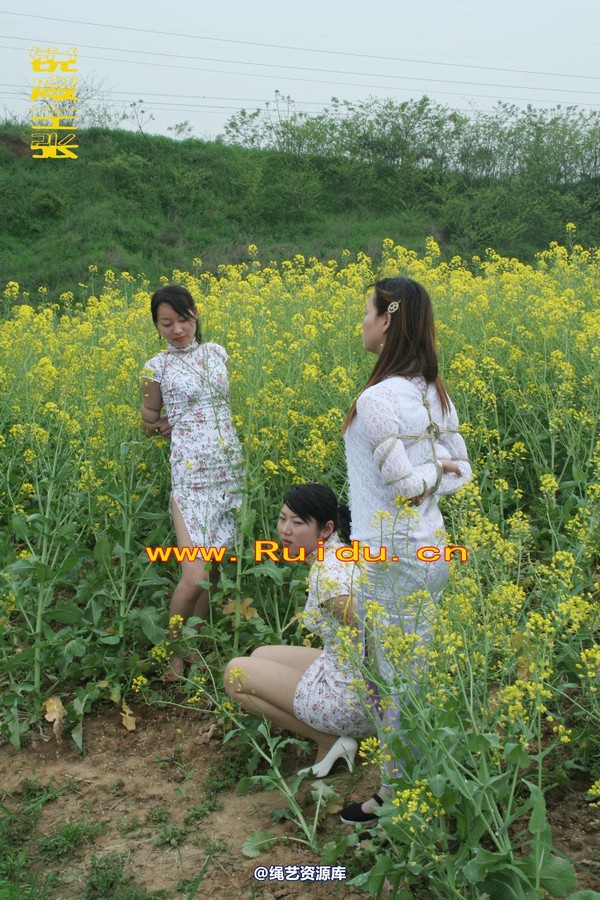 锐度主张 - 4月8日网友聚会室外篇1 第 46 张图片