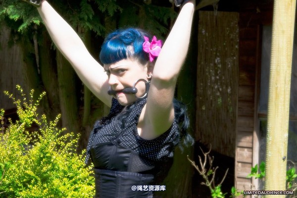 limitedaudience - 2010 raevan punished 第 19 张图片