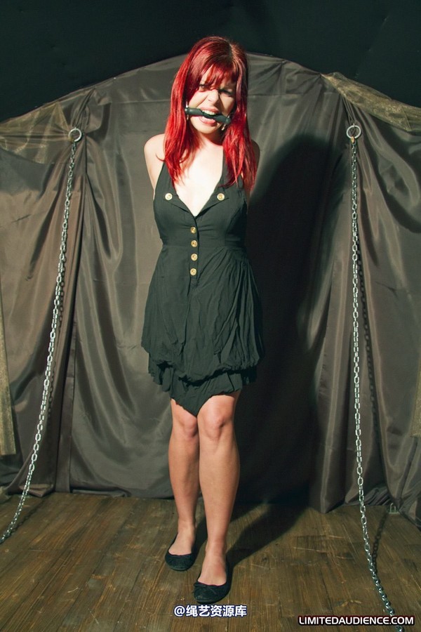limitedaudience - 2011 scarlett bound and imprisoned 第 20 张图片