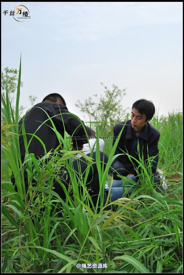 千丝万缕 - 2008-04-06日照片 第 68 张图片