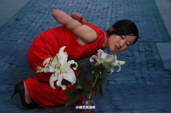 唯美之家 - 青灵五花 第 28 张图片