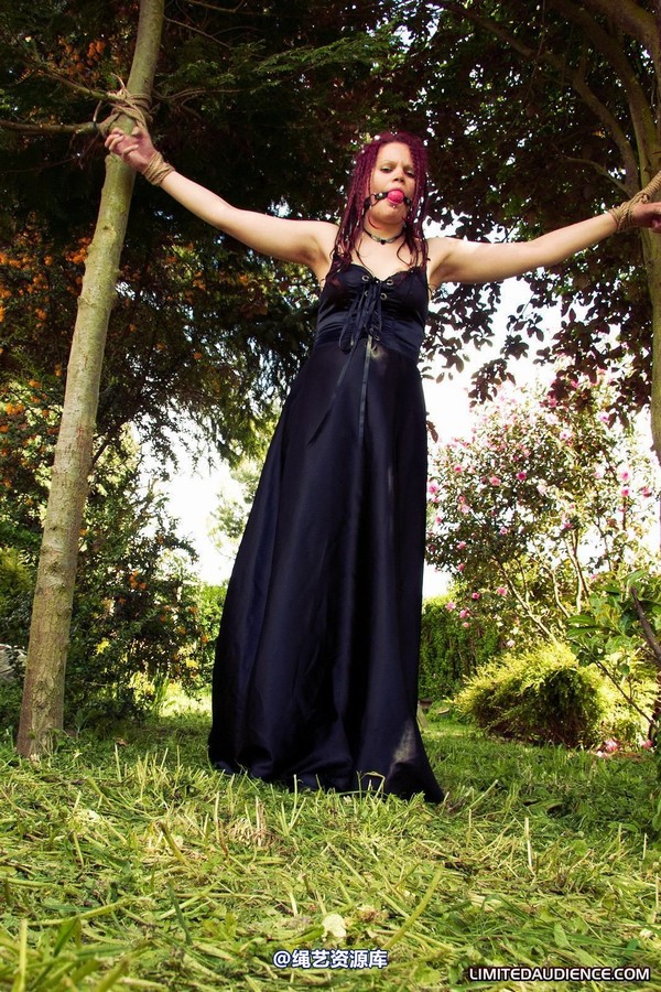 limitedaudience - 2011 beckykat between trees 2 第 20 张图片