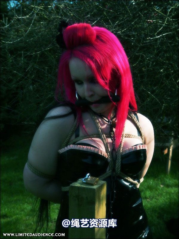 limitedaudience - 2007 assisted suicide at the slave market 第 48 张图片
