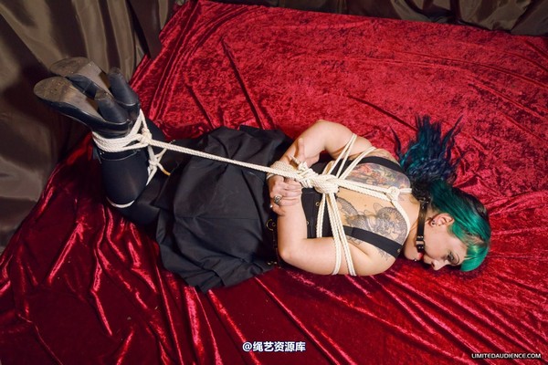 limitedaudience - 2012 raevan hogtied 2 第 27 张图片