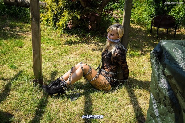 limitedaudience - 2014 altsiren in chains 第 19 张图片