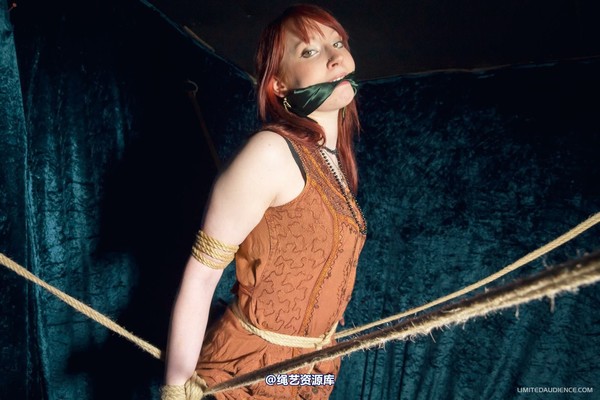 limitedaudience - 2012 syrah lee rope web 第 8 张图片
