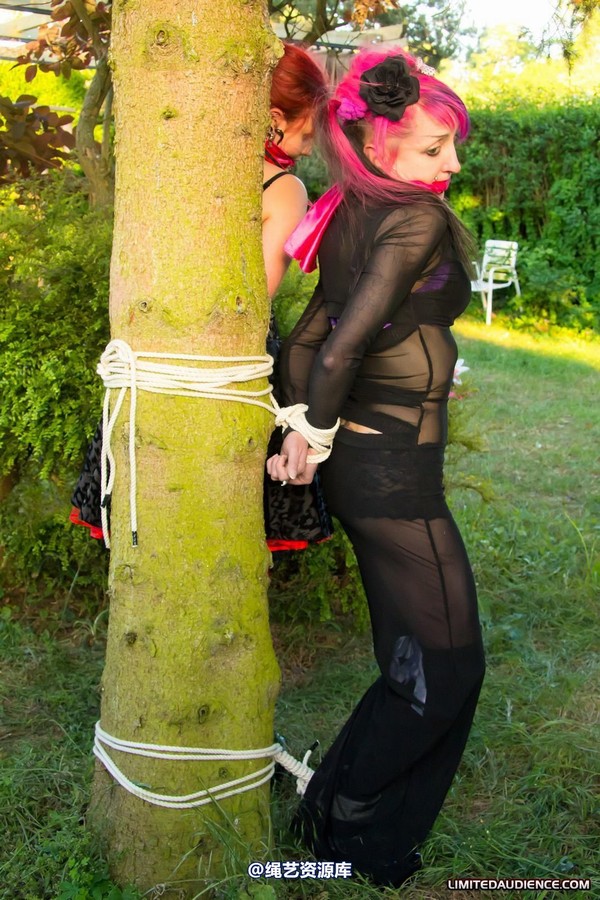 limitedaudience - 2011 beckykat loltaru moored to tree 第 17 张图片