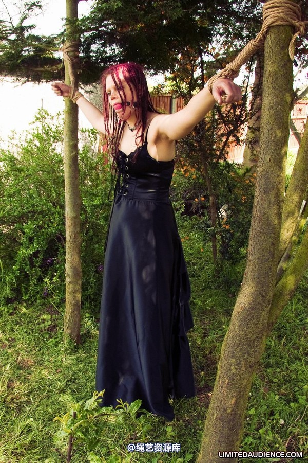 limitedaudience - 2010 beckykat between trees 第 21 张图片