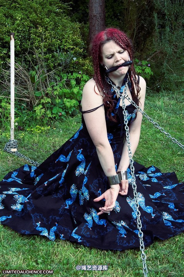 limitedaudience - 2010 beckykat chained and staked 第 16 张图片