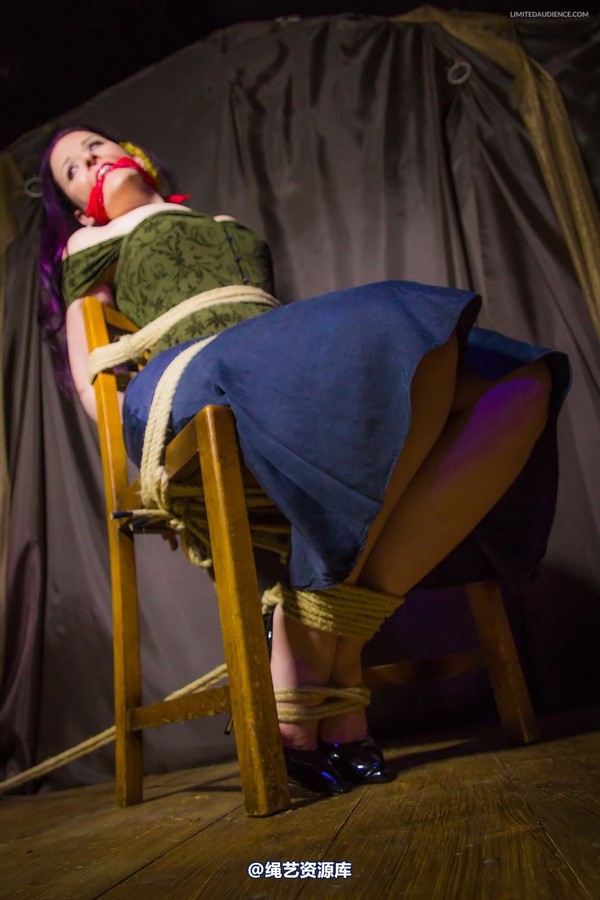 limitedaudience - 2014 caroline pierce captured damsel 第 17 张图片