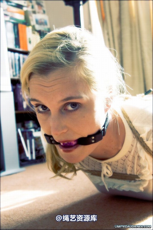limitedaudience - 2008 ariel hogtied secretary 2 第 33 张图片