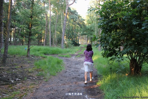 boundlife - bl247 第 37 张图片