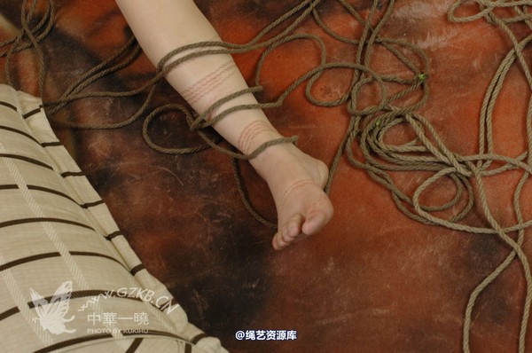 中华一晓 - 中华一晓 NO.0271 第 99 张图片