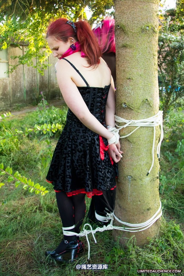 limitedaudience - 2011 beckykat loltaru moored to tree 第 5 张图片
