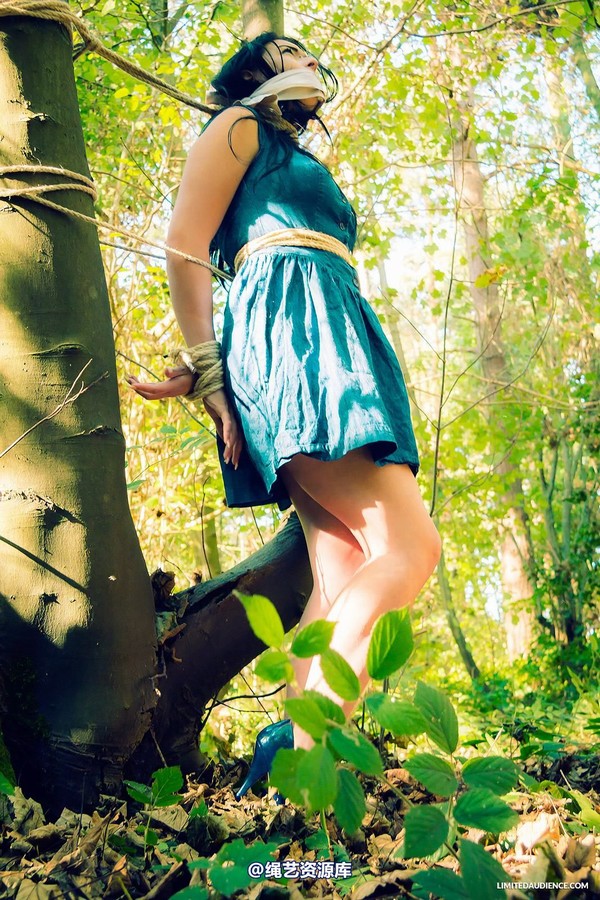 limitedaudience - 2014 stacey von in the forest 第 3 张图片