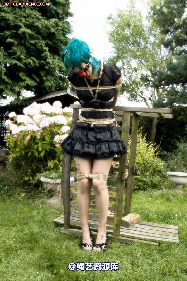limitedaudience - 2009 b captive pixie 2 第 32 张图片