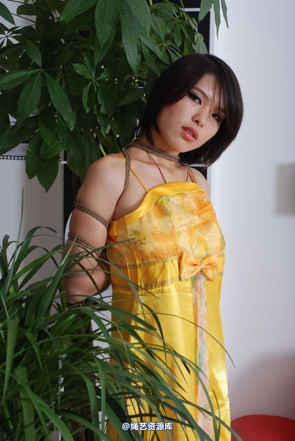 唯美之家 - 书兰-黄礼服 第 24 张图片
