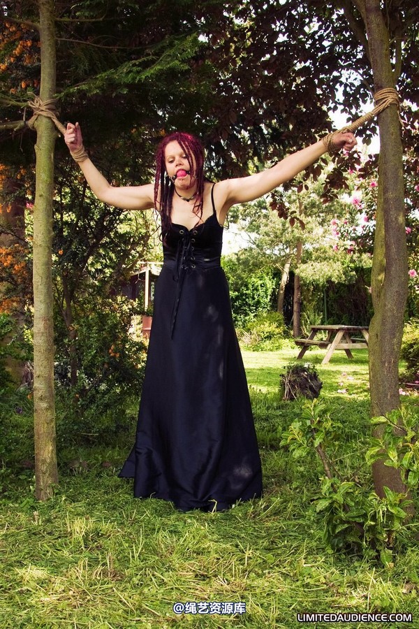 limitedaudience - 2010 beckykat between trees 第 15 张图片