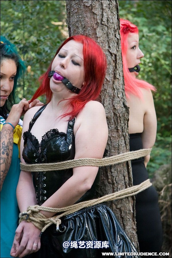 limitedaudience - 2007 asphyxia b nattsuko lost in the woods 第 54 张图片