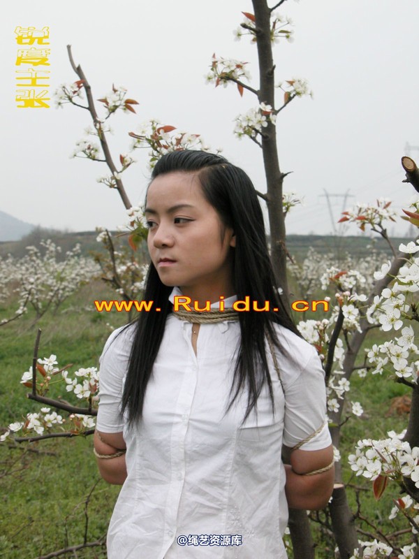 锐度主张 - 婷婷和寒冰梨花林中 第 27 张图片