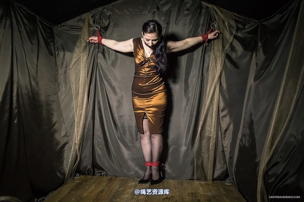 limitedaudience - 2014 caroline pierce bondage in bronze 第 31 张图片