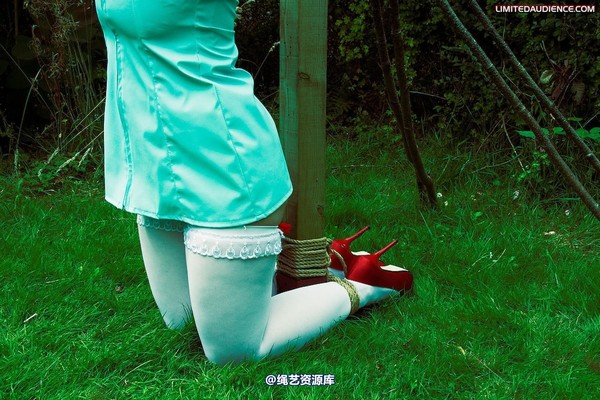 limitedaudience - 2009 raevan slaves direct nurse 第 30 张图片