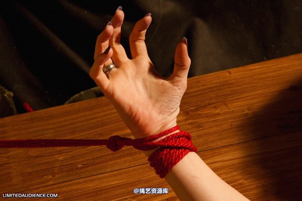 limitedaudience - 2010 elyssia helpless after all 2 第 18 张图片
