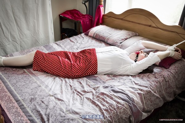 limitedaudience - 2012 catya bound secretary 2 第 12 张图片