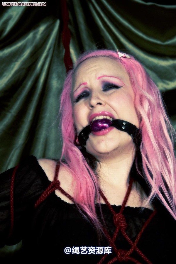 limitedaudience - 2009 assisted suicide profoundly entangled 2 第 14 张图片