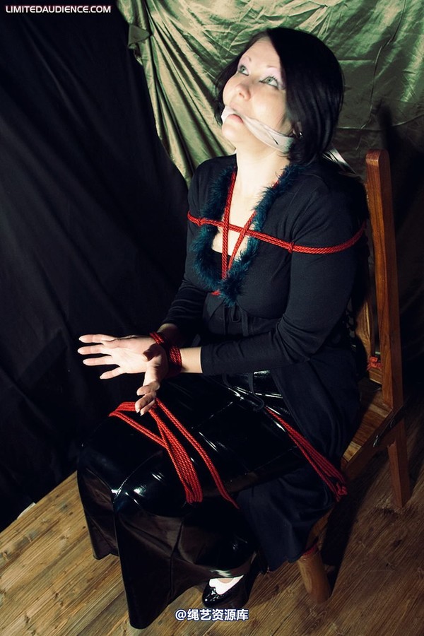 limitedaudience - 2010 deception helpless prisoner 2 第 35 张图片
