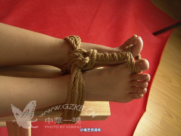 中华一晓 - 中华一晓 NO.0350 第 66 张图片