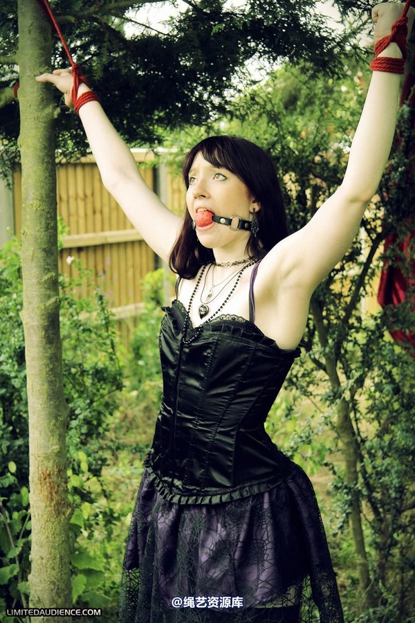 limitedaudience - 2011 syrah lee helpless outdoors 第 27 张图片