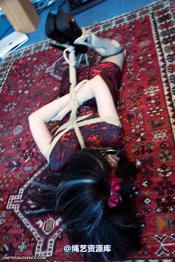 limitedaudience - 2008 andromedax hogtied 第 24 张图片