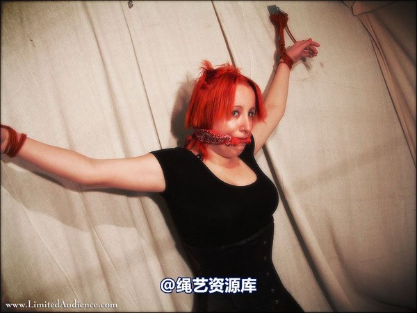 limitedaudience - 2007 erin open arms 第 19 张图片
