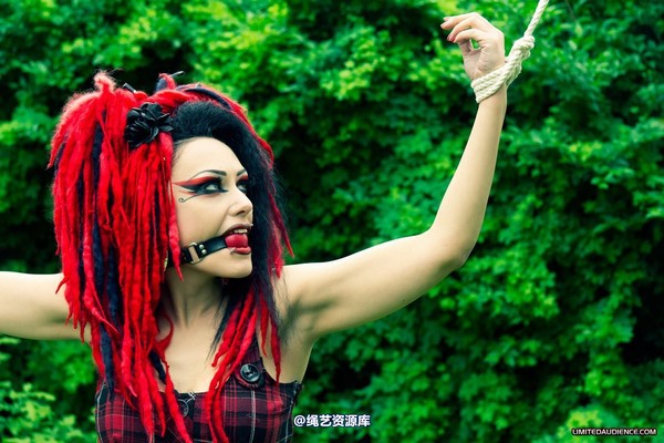 limitedaudience - 2012 andromedax offered up 第 11 张图片