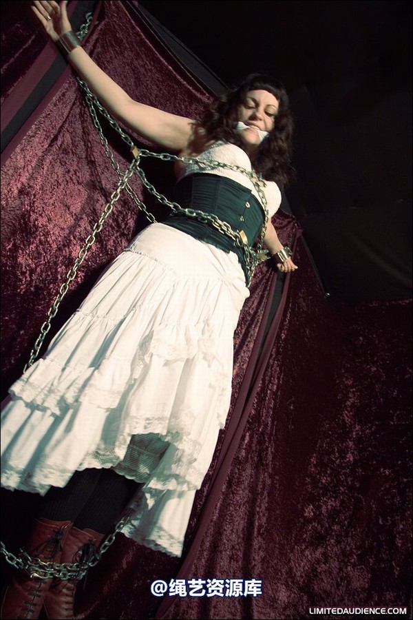 limitedaudience - 2008 veriddian chains on velvet 第 9 张图片