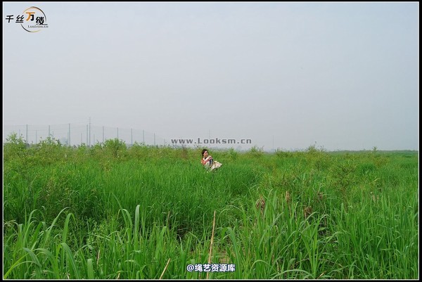 千丝万缕 - 2008-04-06日照片 第 36 张图片