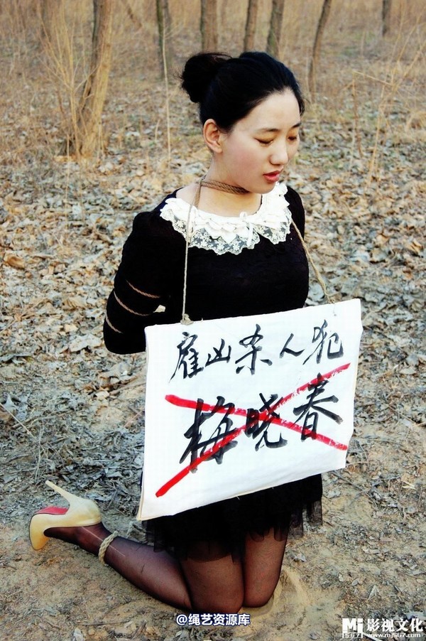 mj影视 - 惊天第一案－雇凶杀人犯梅晓春 第 82 张图片