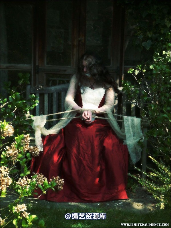 limitedaudience - 2007 catya snatched bride 第 11 张图片