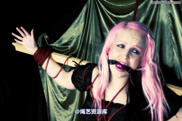 limitedaudience - 2009 assisted suicide profoundly entangled 2 第 30 张图片