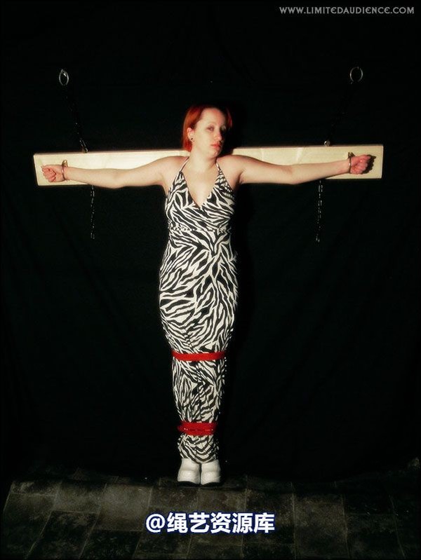 limitedaudience - 2007 erin chained animal 第 7 张图片