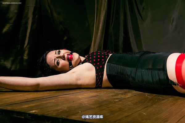 limitedaudience - 2014 caroline pierce stretched out 第 14 张图片